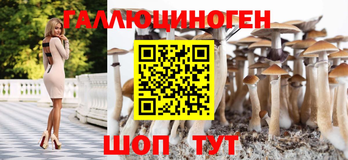 Галлюциногенные грибы прущие грибы  Вход с VPN  Галлюциногенные грибы мицелий  Сосновый Бор 